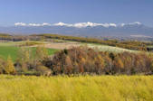 tkf001_816677