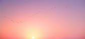 tkf001_817065