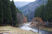 tkf001_817510