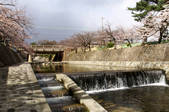 tkf001_821248