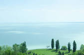 tkf001_822316