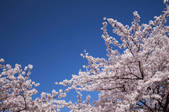 tkf001_825886