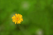 tkf001_826497