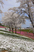 tkf001_826585