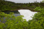tkf001_828001