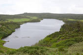 tkf001_828004