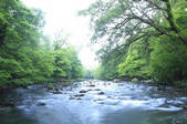 tkf001_829455