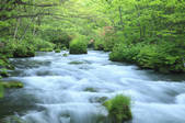 tkf001_829467