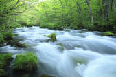 tkf001_829468