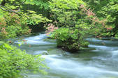 tkf001_829470