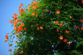 tkf001_830413