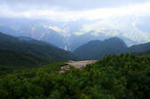 tkf001_830562