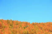 tkf001_836241