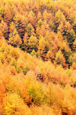 tkf001_836244