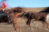 tkf001_470987