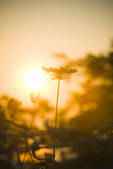 tkf001_489706