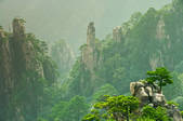 tkf001_493323
