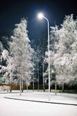 tkf001_494039