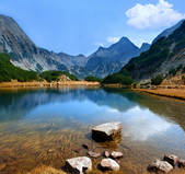 tkf001_494195