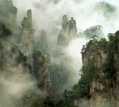 tkf001_498282