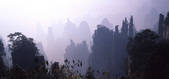 tkf001_498803