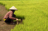 tkf001_506692