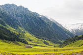 tkf001_512933