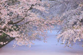 tkf001_552098