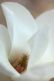 tkf001_552767