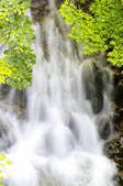 tkf001_553404