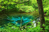 tkf001_554275