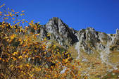 tkf001_554802