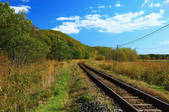 tkf001_555590