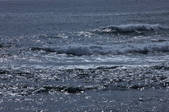 tkf001_555815
