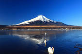 tkf001_555855