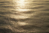 tkf001_555890