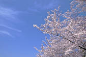 tkf001_556127