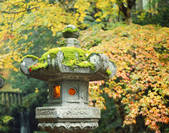 tkf001_557275