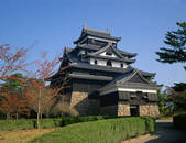 tkf001_557359