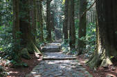 tkf001_560413