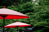 tkf001_561003