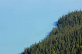 tkf001_561221