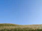 tkf001_561303