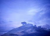 tkf001_645781