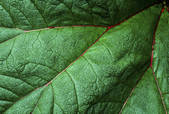 tkf001_646252