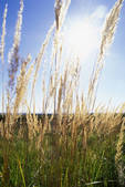 tkf001_647031