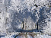 tkf001_647595