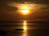 tkf001_648266