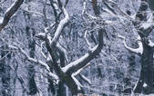 tkf001_652503