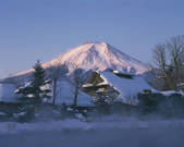 tkf003_107564